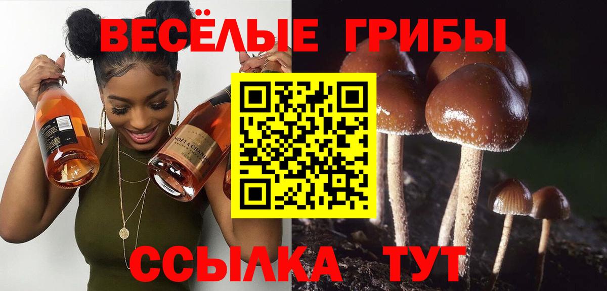 Галлюциногенные грибы прущие грибы Усинск